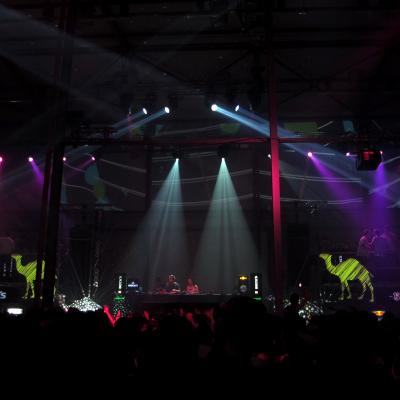 Img 7178
